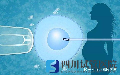 成都第三代試管技術(shù)可指定生男生女雙胞胎...但這不是你一(圖3)
